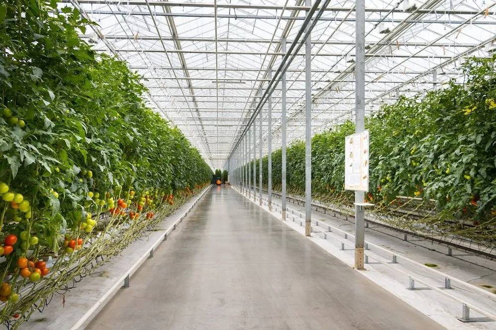 image004001