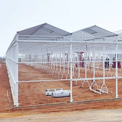 China Venlo Glass Greenhouse For Uzbekistan